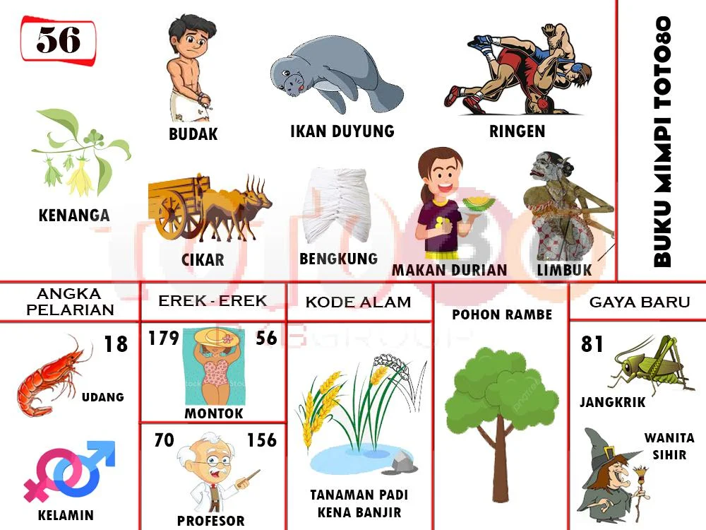buku mimpi erek erek togel 56